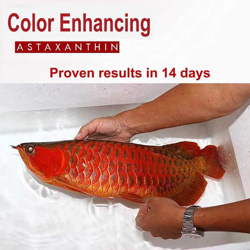 HULX Astaxanthin Red Color Enhancing Powder All Type Fishes Tropical Fish Goldfish KOI Baby Fry Fish Guppy Betta Small Fish Use Mix Fish Food Granular Flake Sinking Floating Pellets 0.06 Lb. (30 g.) - Image 4